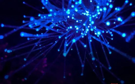 How Companies Handle Data Breaches: Smart Strategies