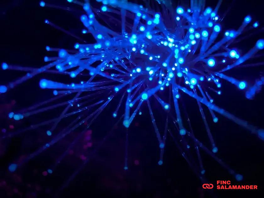 How Companies Handle Data Breaches: Smart Strategies